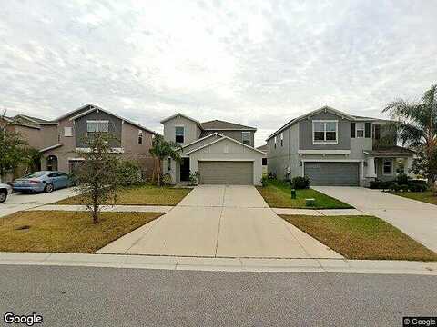 Boggy Moss, RIVERVIEW, FL 33578