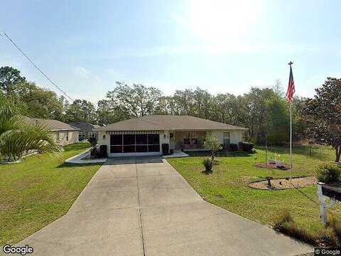 Vince, CITRUS SPRINGS, FL 34434