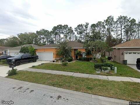 Captiva, NEW PORT RICHEY, FL 34655
