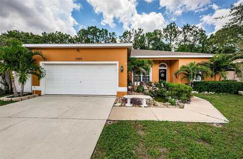 Captiva, NEW PORT RICHEY, FL 34655