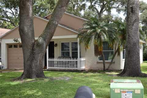 Bellingham, PALM HARBOR, FL 34684