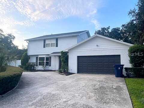 Azeele, TAMPA, FL 33609