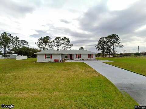 Honey, FRUITLAND PARK, FL 34731
