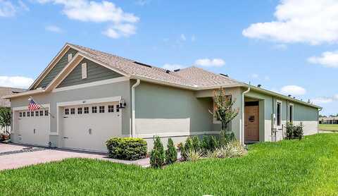 Meadow Beauty, CLERMONT, FL 34714