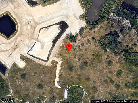 Meadow Beauty, CLERMONT, FL 34714