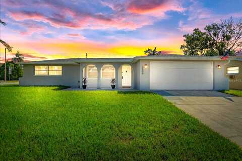 Cockatoo, NEW PORT RICHEY, FL 34652