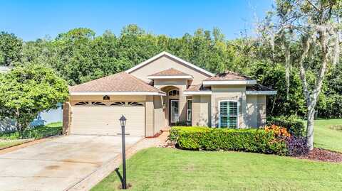 Tavernier, OLDSMAR, FL 34677