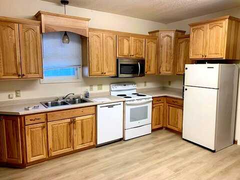Birch, MAPLE LAKE, MN 55358