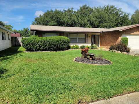 Butternut, CLEARWATER, FL 33763