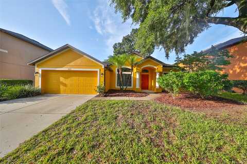 Abbey Ridge, DOVER, FL 33527
