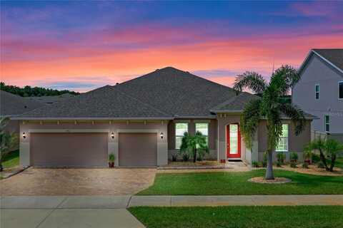 Bonser, MINNEOLA, FL 34715
