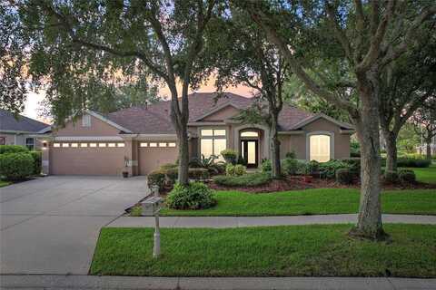 Sugar Brooke, TAMPA, FL 33647