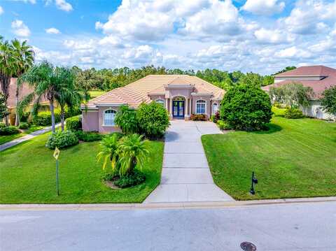 Thoroughbred, DADE CITY, FL 33525