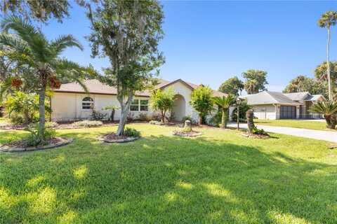 Black Hawk, PALM COAST, FL 32137