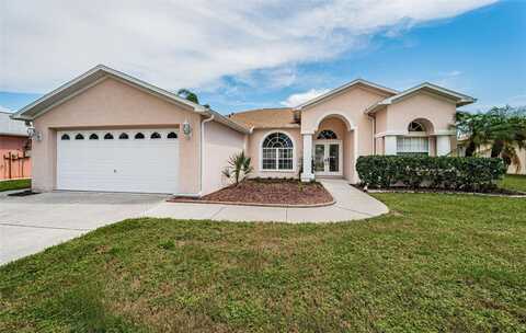 Basalisk, NEW PORT RICHEY, FL 34653