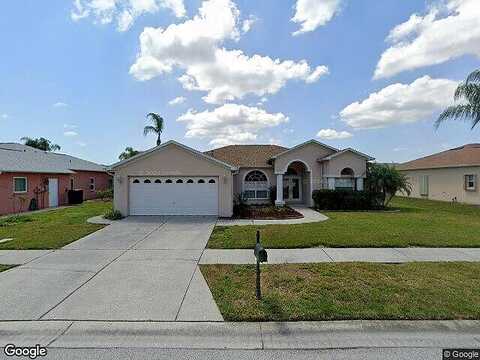 Basalisk, NEW PORT RICHEY, FL 34653