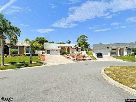 Bengal, NEW PORT RICHEY, FL 34654