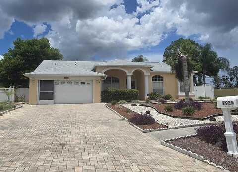 Bengal, NEW PORT RICHEY, FL 34654