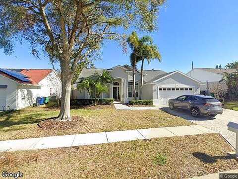 Aster, PALM HARBOR, FL 34684