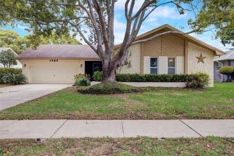 Macdonnell, PALM HARBOR, FL 34684