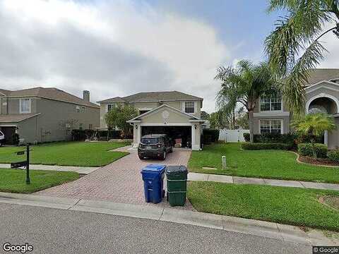 Regal Mist, TRINITY, FL 34655
