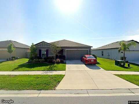 Criollo, SPRING HILL, FL 34610