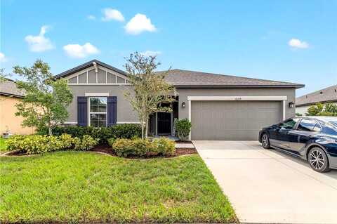 Criollo, SPRING HILL, FL 34610