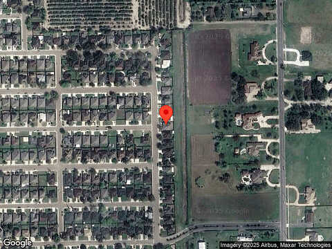 Ambrosia, WESLACO, TX 78596