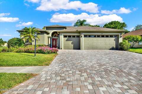 Wayside Willow, HUDSON, FL 34667