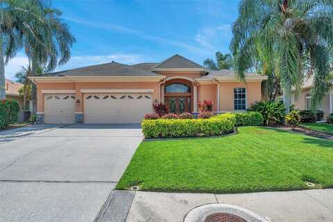 Balsaridge, TRINITY, FL 34655