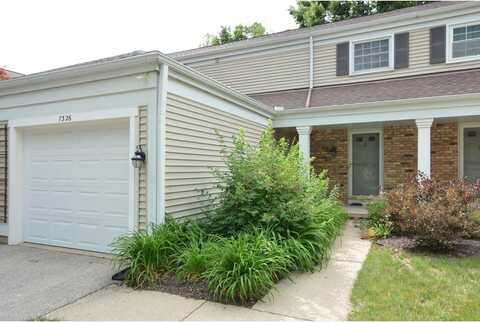 Old Sauk, MADISON, WI 53717