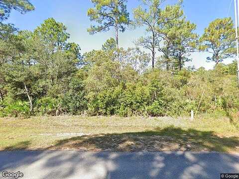 Dick Saltsman, SANTA ROSA BEACH, FL 32459