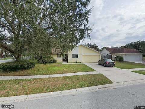 Black Pine, TAMPA, FL 33624