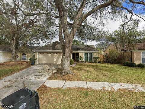 Cabbage Palm, VALRICO, FL 33596