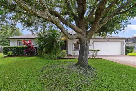 Nestling, CHULUOTA, FL 32766
