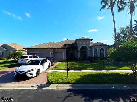 Winged Elm, WESLEY CHAPEL, FL 33544