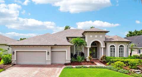 Winged Elm, WESLEY CHAPEL, FL 33544