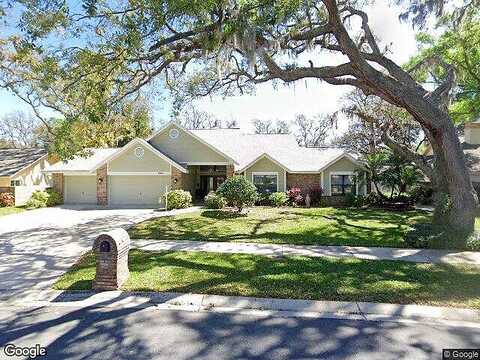 Mason Oaks, VALRICO, FL 33596