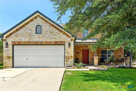 Tranquility, BUDA, TX 78610