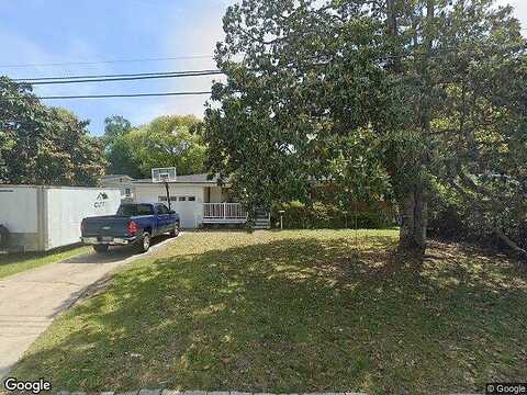 Caladium, JACKSONVILLE, FL 32211