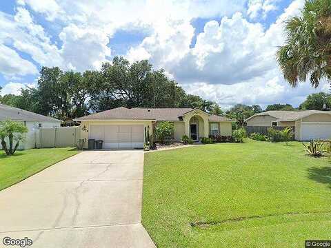 Needle Palm, EDGEWATER, FL 32141