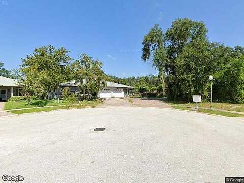 Parrotte, MOUNT DORA, FL 32757
