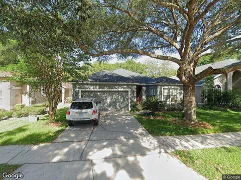 Hanging Moss, OVIEDO, FL 32765