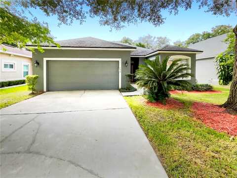 Hanging Moss, OVIEDO, FL 32765