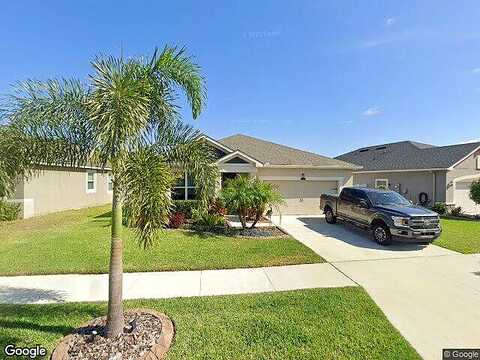Satin Lily, RIVERVIEW, FL 33579