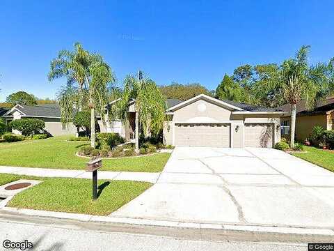Wyndham Lakes, ODESSA, FL 33556