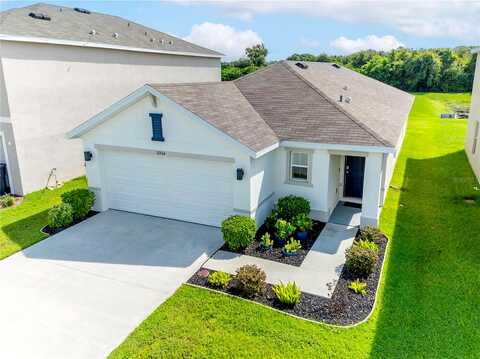 Downy Birch, RIVERVIEW, FL 33569