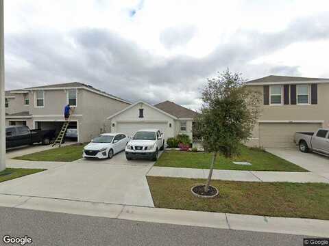 Downy Birch, RIVERVIEW, FL 33569