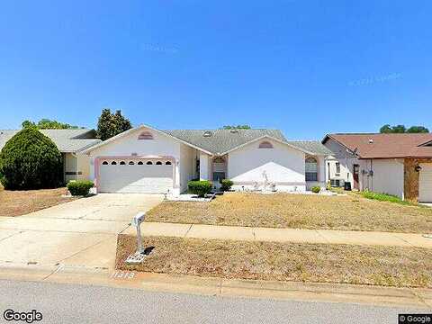 Owl, PORT RICHEY, FL 34668