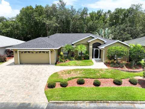 Moshie, SAN ANTONIO, FL 33576